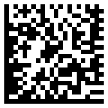 A typical Data Matrix Code